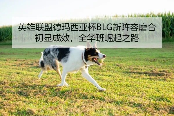 英雄联盟德玛西亚杯BLG新阵容磨合初显成效，全华班崛起之路